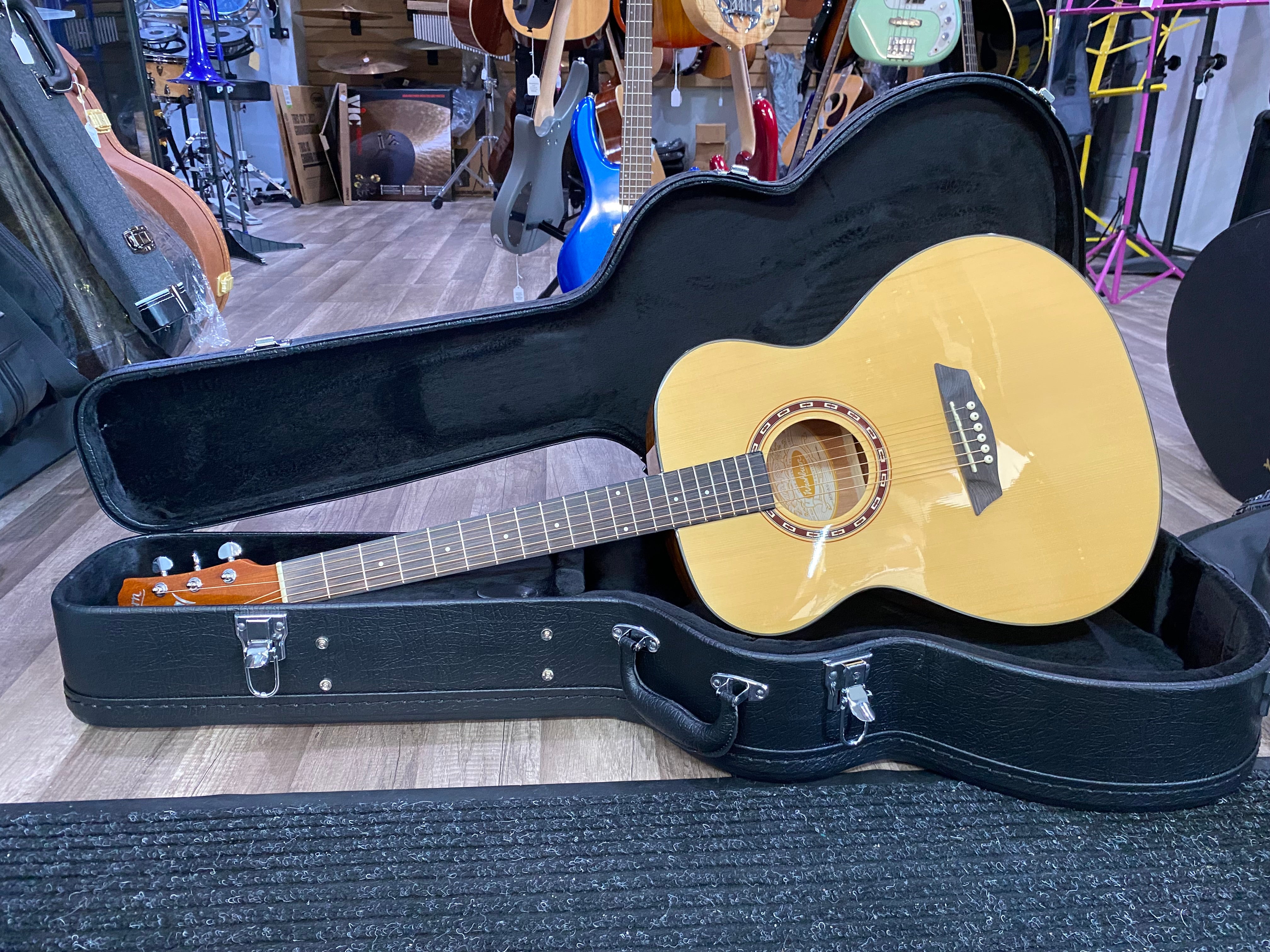 AF5K Washburn Acoustic