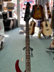 Peavey Millennium AC