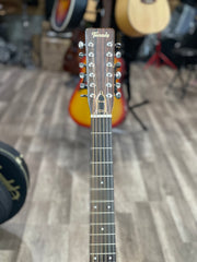 Tenada 12 String