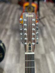 Tenada 12 String