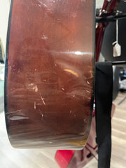 Tenada 12 String