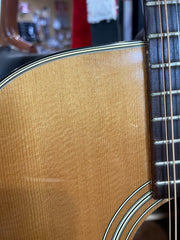 Tenada 12 String
