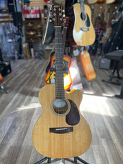 Mitchell T313CE