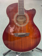 Washburn EA55G